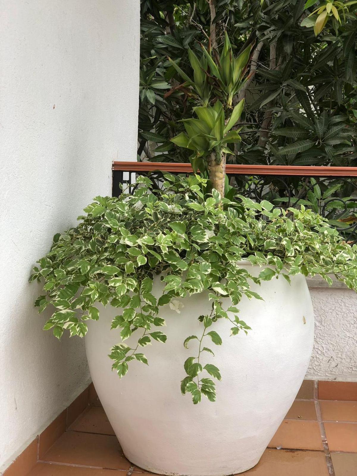 Hotel Casa Bethel Santa Marta  Buitenkant foto